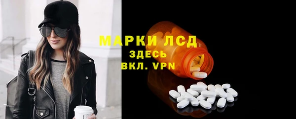 индика Аркадак