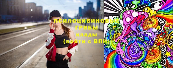 индика Аркадак