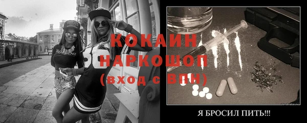 индика Аркадак