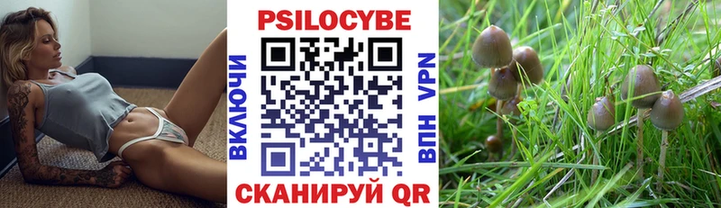 блэк спрут ТОР  что такое наркотик  Горнозаводск  Псилоцибиновые грибы Psilocybine cubensis 
